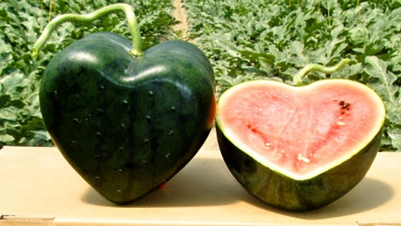 Watermelon-Heart